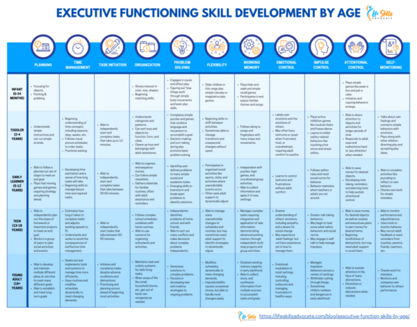 Teaching Executive Function Skills: A Comprehensive Guide For Teachers ...