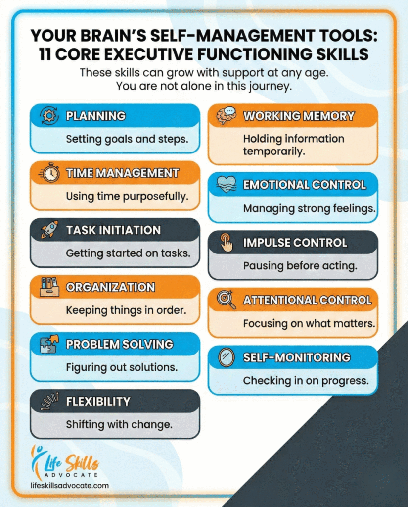 11 Executive Functioning Skills: What They Are, Signs, And Real-Life ...