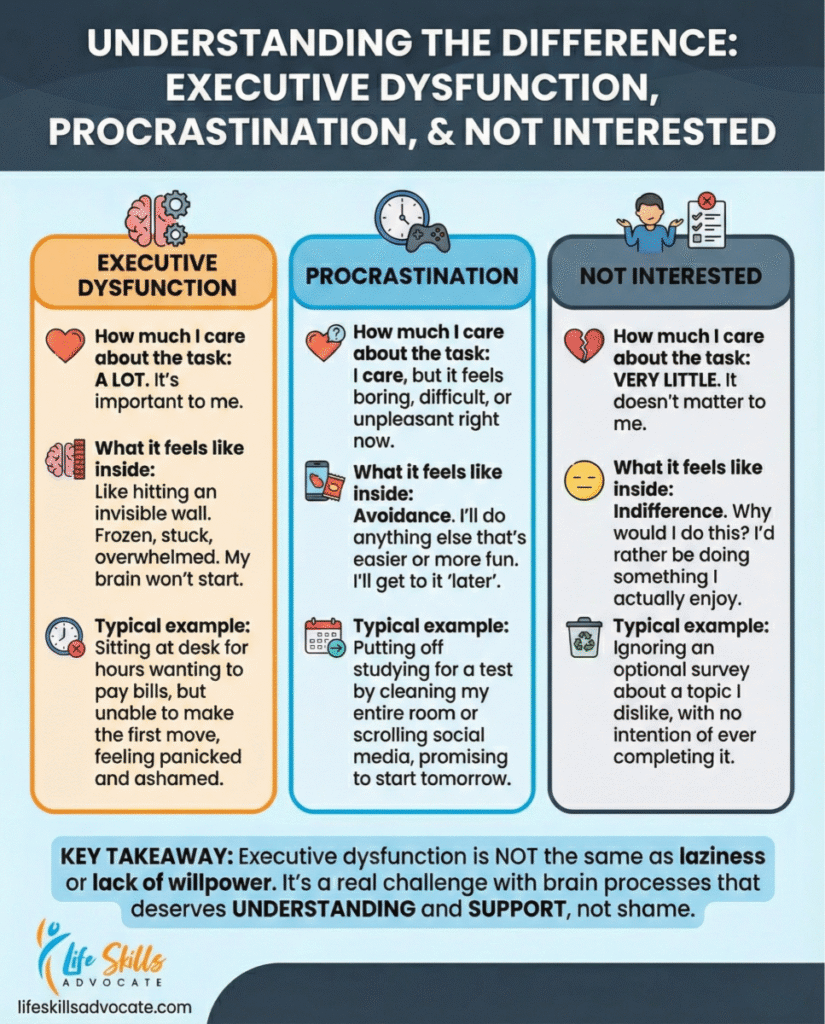 9 Clear Signs Of Executive Dysfunction & Practical Ways To Work With It ...