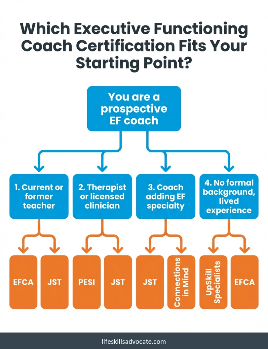 Decision Tree Matching Prospective Ef Coaches To Certification Programs Based On Starting Background: Teacher, Clinician, Existing Coach, Or Lived Experience. | Life Skills Advocate