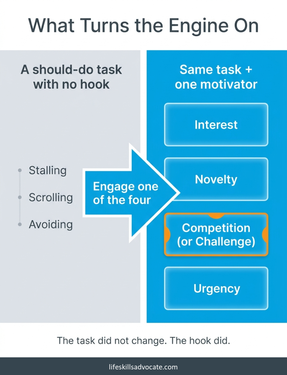 A Should-Do Task Without A Hook Produces Stalling And Avoidance. Adding One Of The Four Interest-Based Nervous System Motivators Activates Engagement.