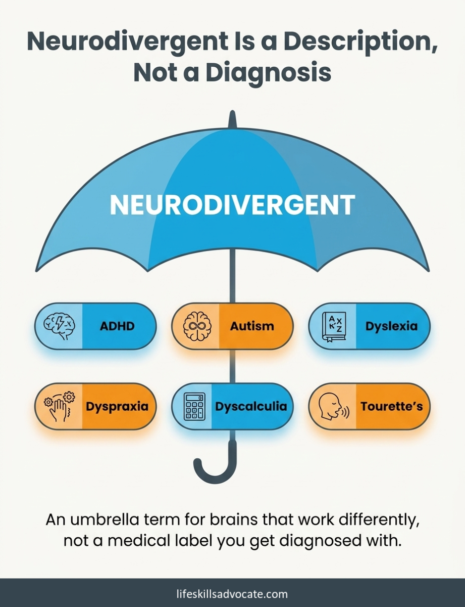What does it mean to be neurodivergent? A description, not a diagnosis 1 Infographic Showing Neurodivergent As An Umbrella Term Covering Adhd, Autism, Dyslexia, Dyspraxia, Dyscalculia, And Tourette'S, Framed As A Description Of How A Brain Works Rather Than A Diagnosis.