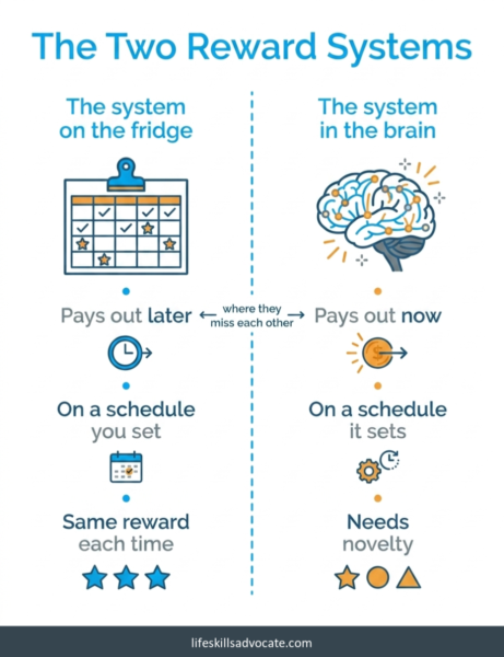 The two reward systems: how to motivate a teenager with adhd 1 How To Motivate A Teenager With Adhd: The Two Reward Systems Side By Side. The System On The Fridge Pays Out Later, On A Schedule You Set, With The Same Reward Each Time. The System In The Brain Pays Out Now, On A Schedule It Sets, And Needs Novelty.