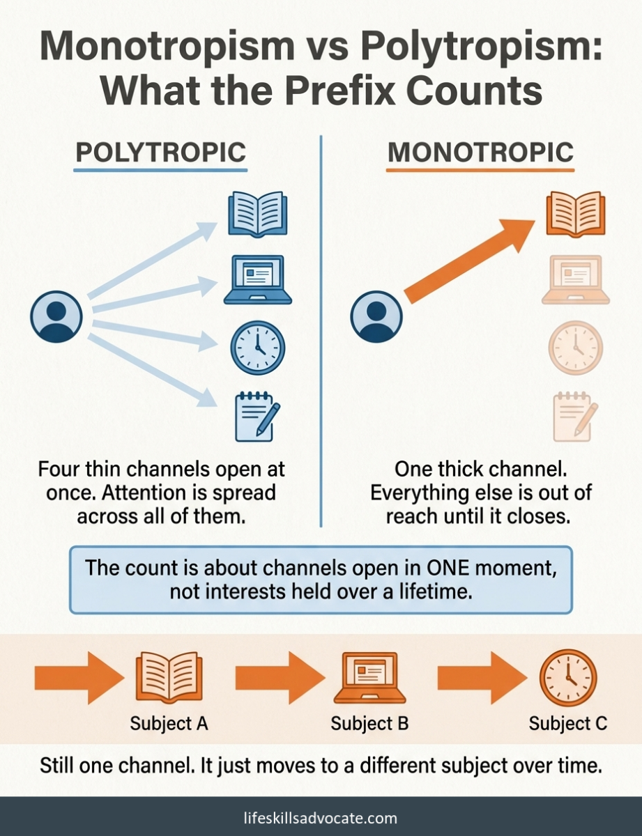 8 ways monotropism shows up in an autistic adult's week 1 Monotropism Vs Polytropism Diagram: Polytropic Attention Shown As Four Thin Channels Open At Once Across A Book, Laptop, Clock And Notepad, And Monotropic Attention Shown As One Thick Channel To A Single Item With The Rest Out Of Reach, With A Note That The Prefix Counts Channels Open In One Moment Rather Than Interests Held Over A Lifetime