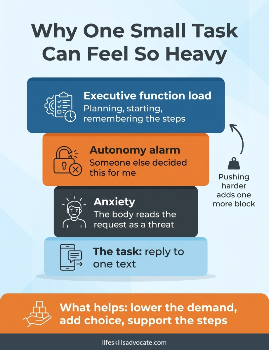 How Anxiety, An Autonomy Alarm And Executive Function Load Stack On One Small Task In Pathological Demand Avoidance In Adults